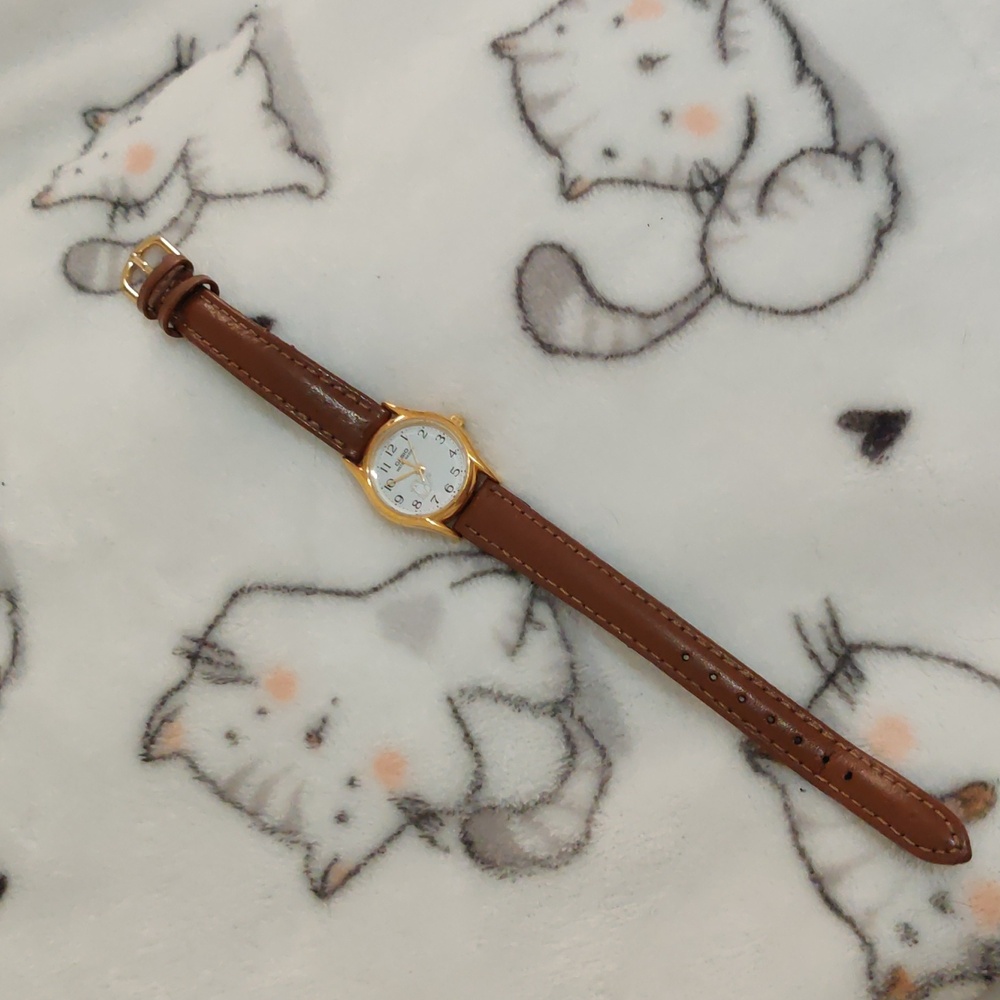 Casio brown cat watch